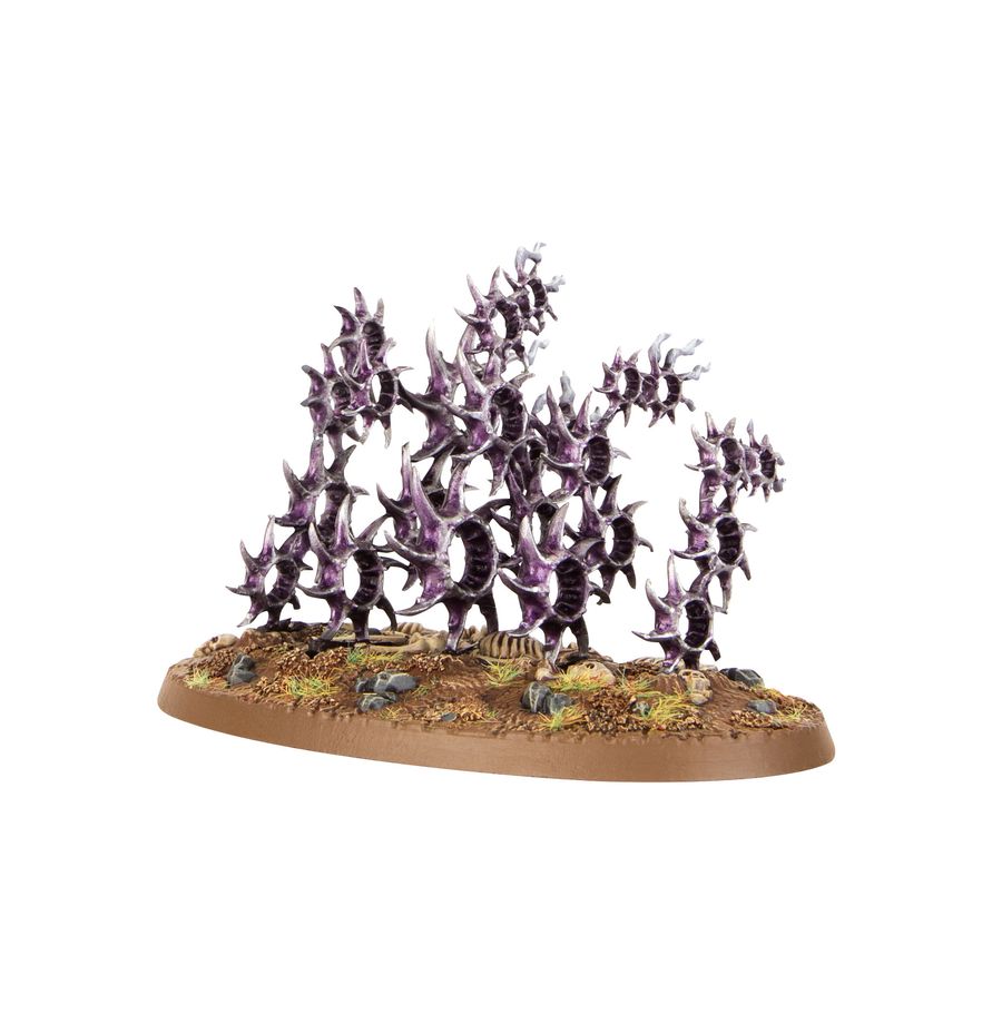 Hedonites of Slaanesh: Regiment of Renown: The Accursed Reflection