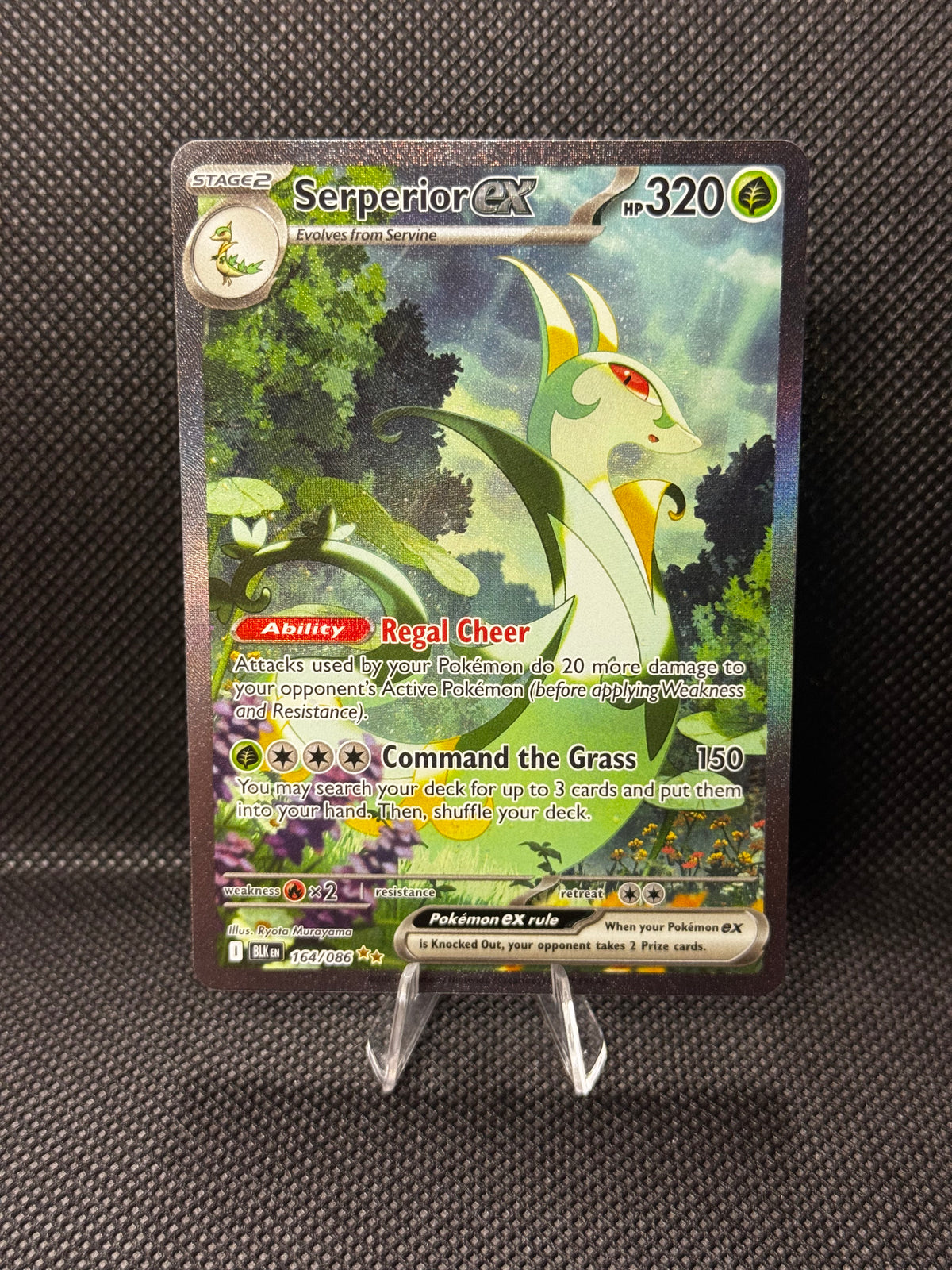Serperior ex 164/086 - Black Bolt