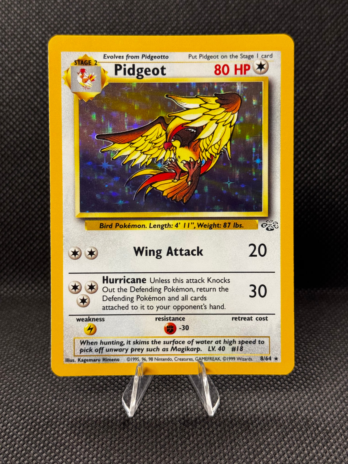 Pidgeot 8/64 - Jungle / Holo