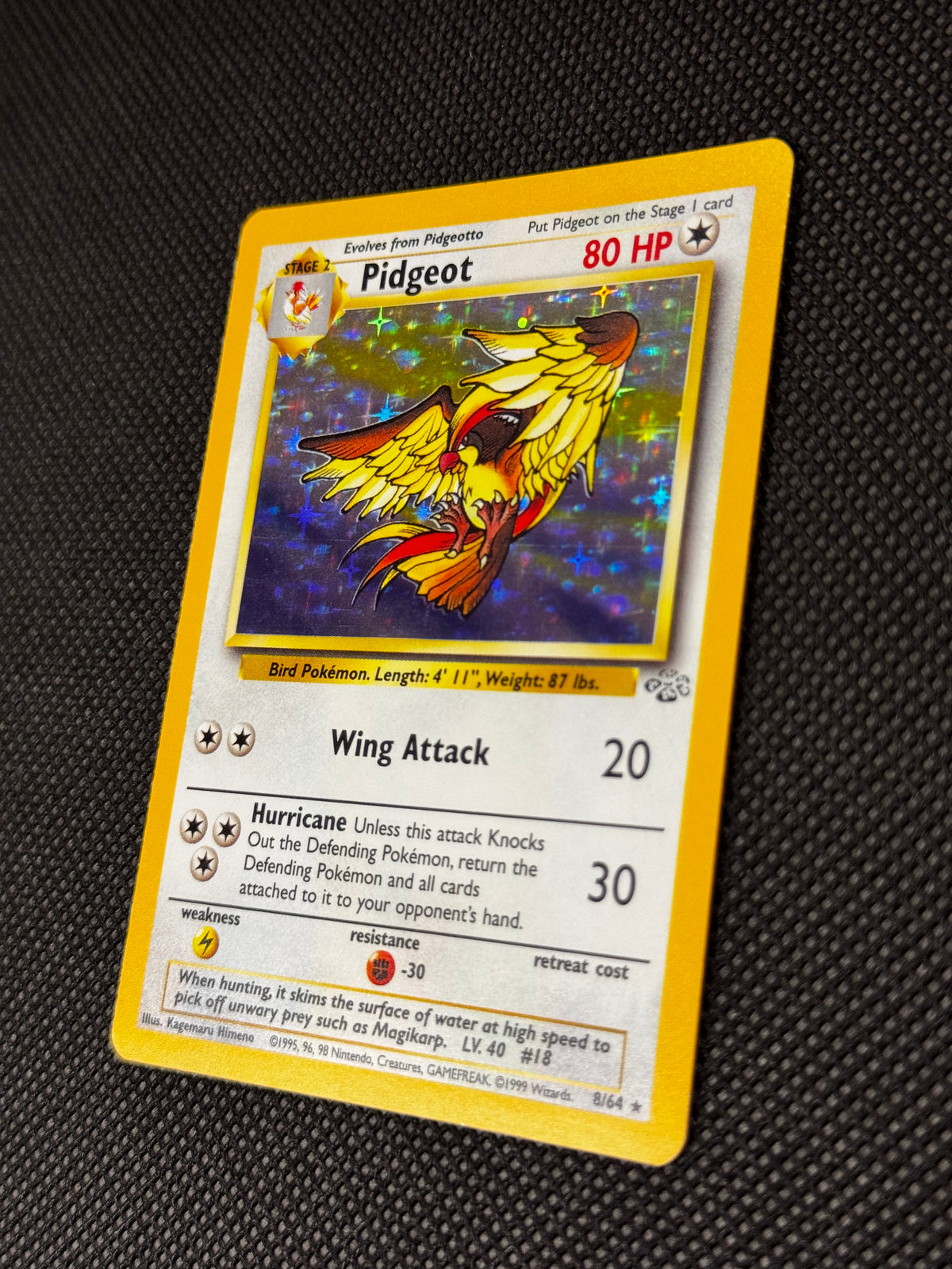 Pidgeot 8/64 - Jungle / Holo