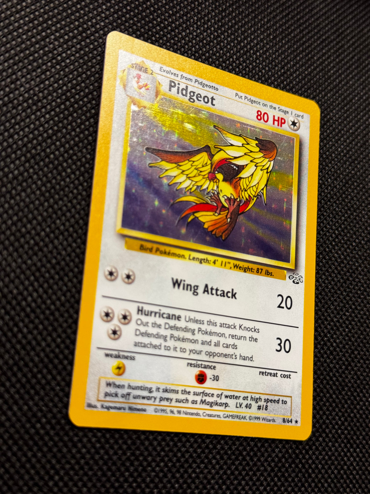 Pidgeot 8/64 - Jungle / Holo